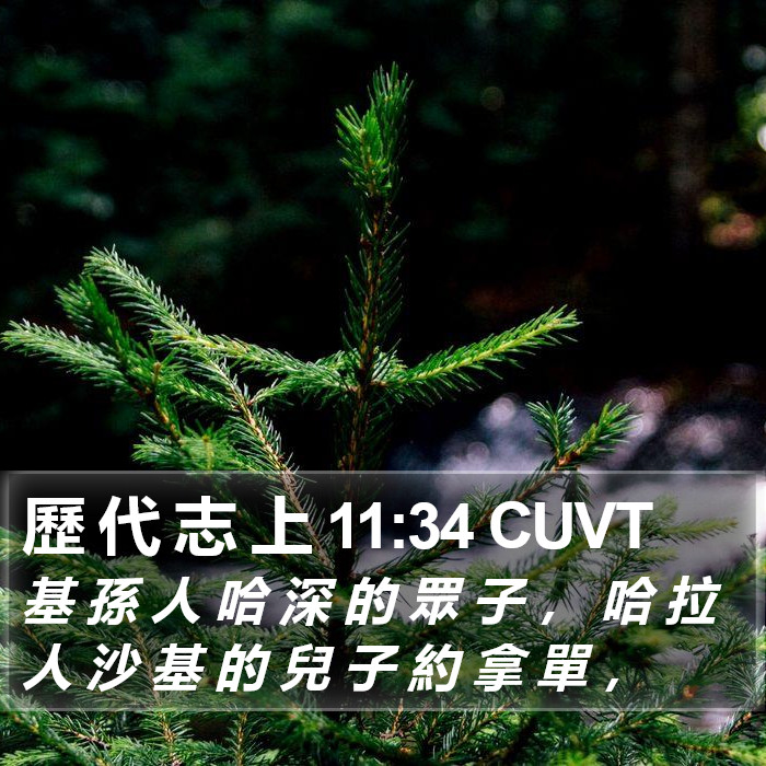 歷 代 志 上 11:34 CUVT Bible Study