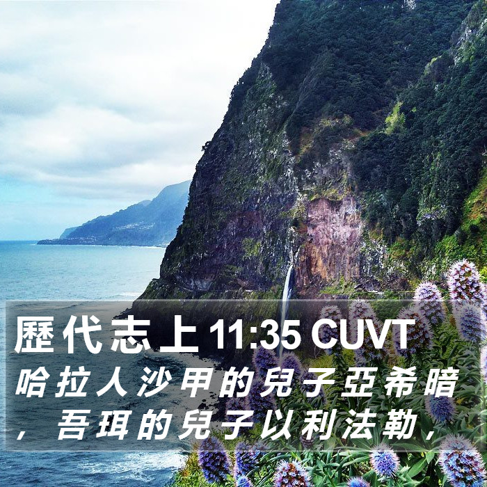 歷 代 志 上 11:35 CUVT Bible Study
