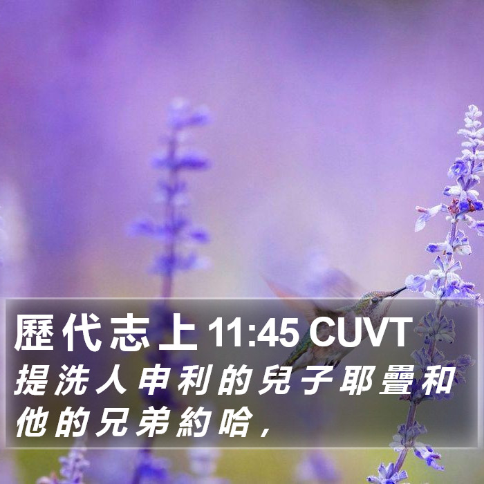 歷 代 志 上 11:45 CUVT Bible Study