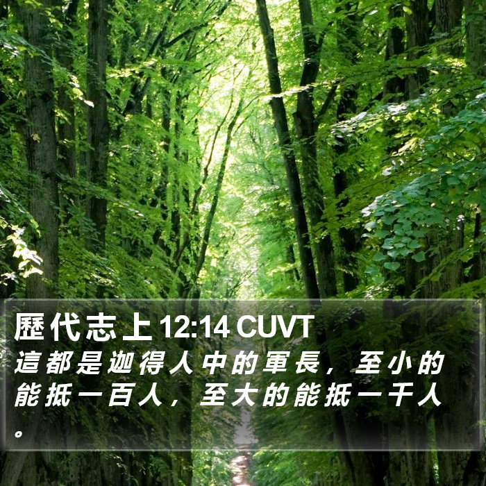 歷 代 志 上 12:14 CUVT Bible Study