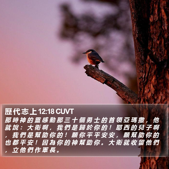 歷 代 志 上 12:18 CUVT Bible Study