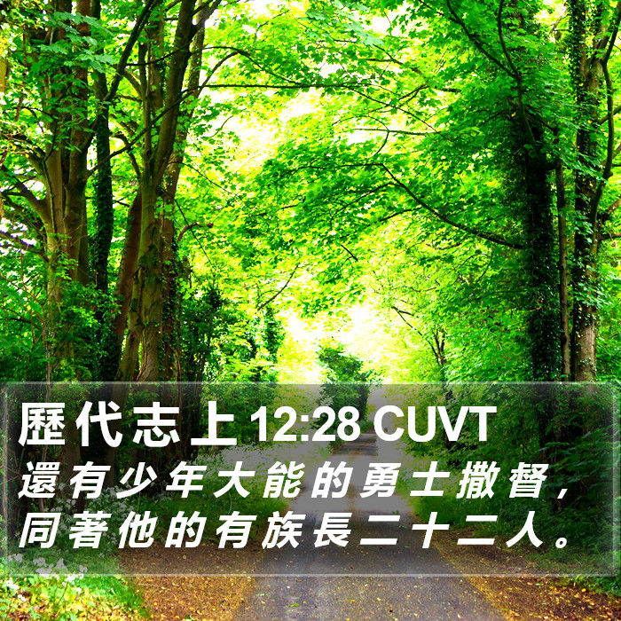 歷 代 志 上 12:28 CUVT Bible Study