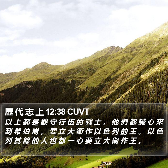 歷 代 志 上 12:38 CUVT Bible Study