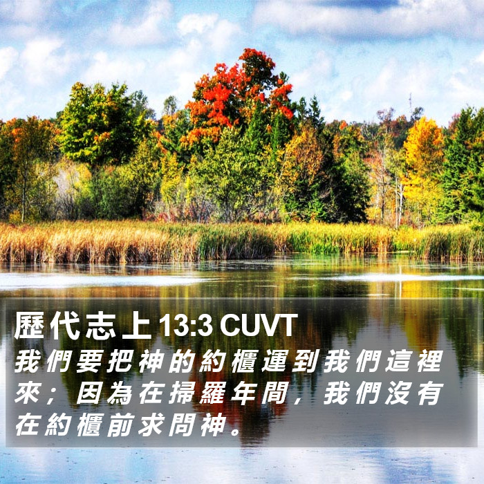 歷 代 志 上 13:3 CUVT Bible Study