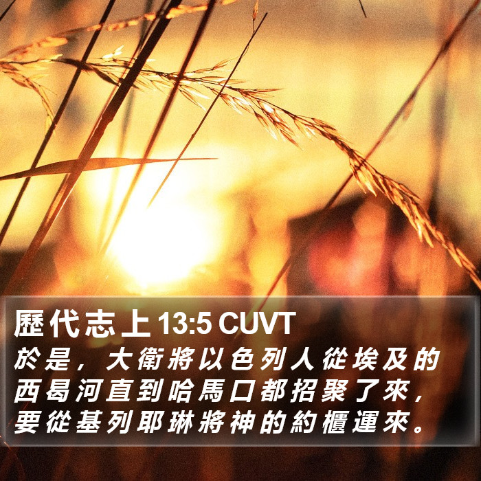 歷 代 志 上 13:5 CUVT Bible Study