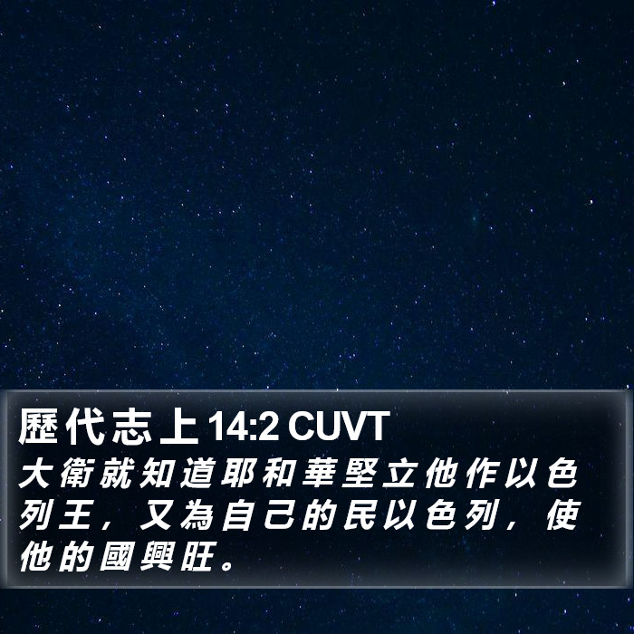歷 代 志 上 14:2 CUVT Bible Study