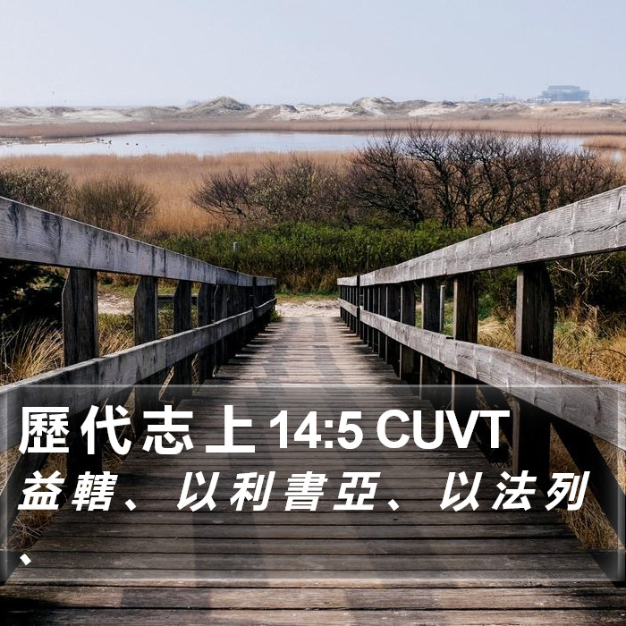 歷 代 志 上 14:5 CUVT Bible Study