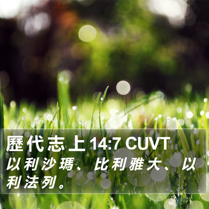 歷 代 志 上 14:7 CUVT Bible Study