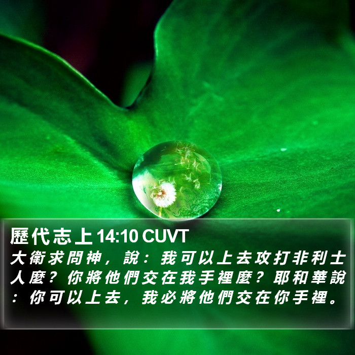 歷 代 志 上 14:10 CUVT Bible Study