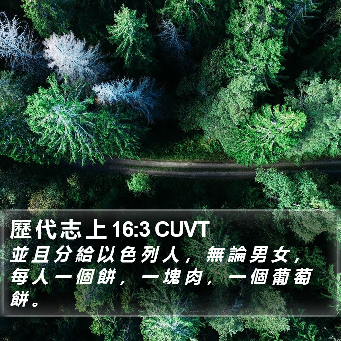 歷 代 志 上 16:3 CUVT Bible Study