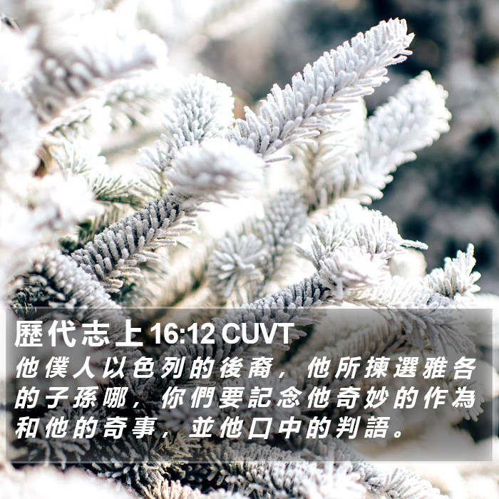 歷 代 志 上 16:12 CUVT Bible Study