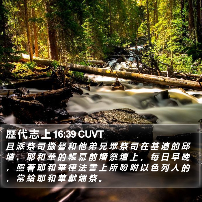 歷 代 志 上 16:39 CUVT Bible Study