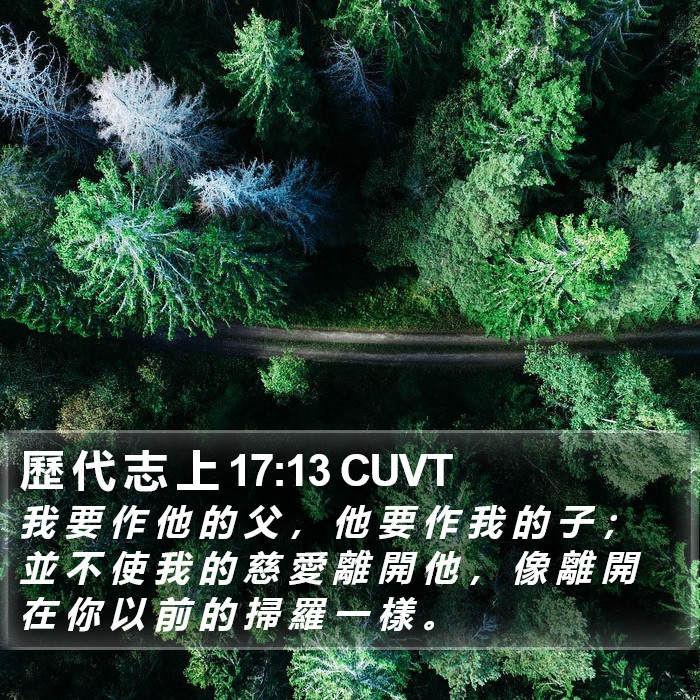 歷 代 志 上 17:13 CUVT Bible Study