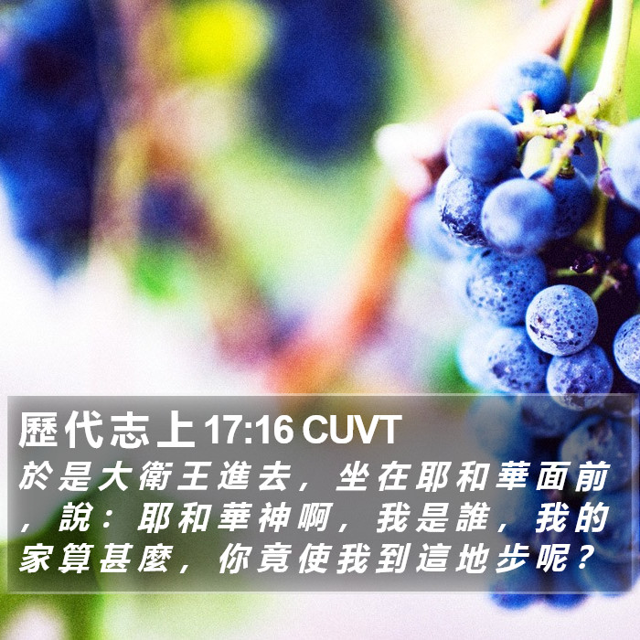 歷 代 志 上 17:16 CUVT Bible Study