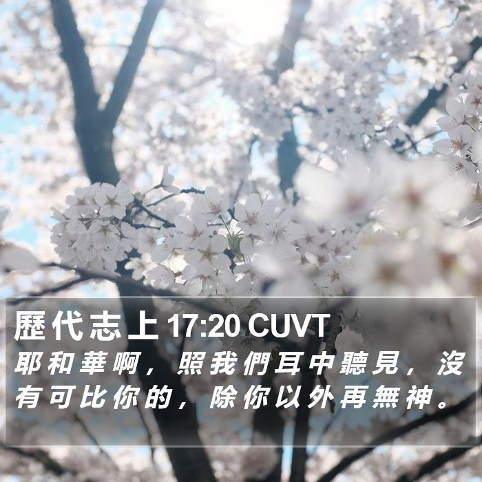 歷 代 志 上 17:20 CUVT Bible Study