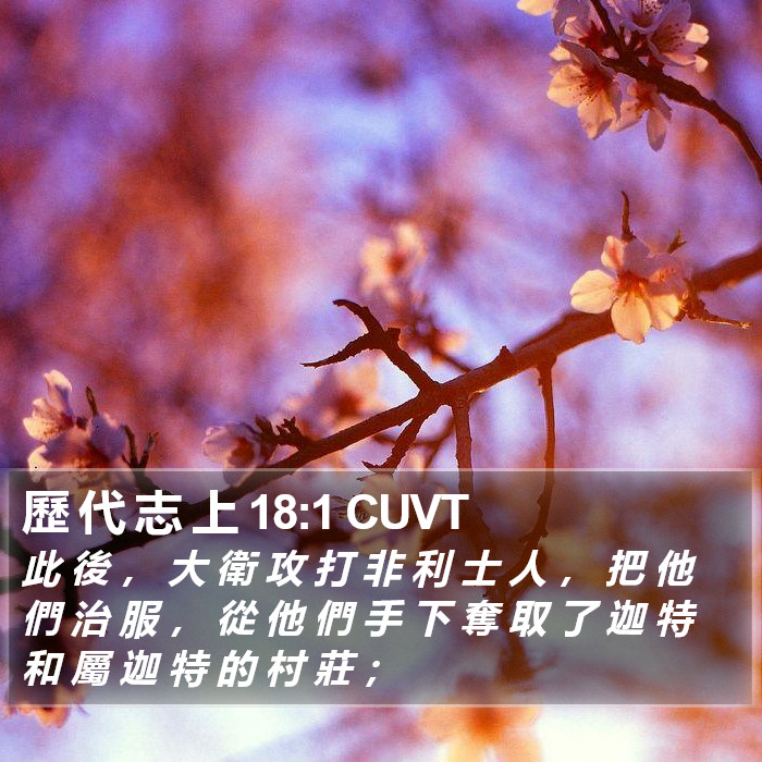 歷 代 志 上 18:1 CUVT Bible Study