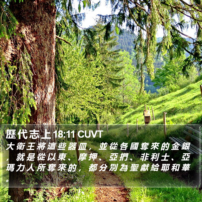 歷 代 志 上 18:11 CUVT Bible Study