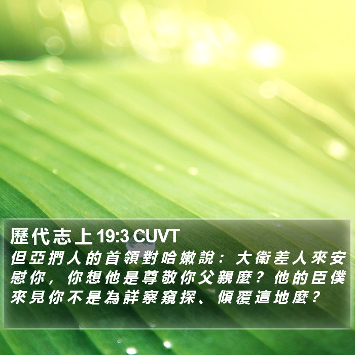 歷 代 志 上 19:3 CUVT Bible Study