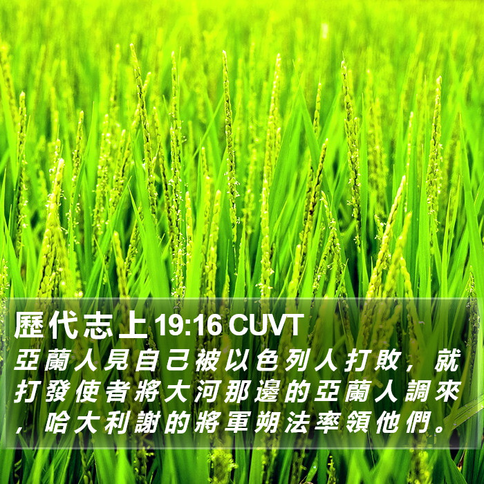 歷 代 志 上 19:16 CUVT Bible Study