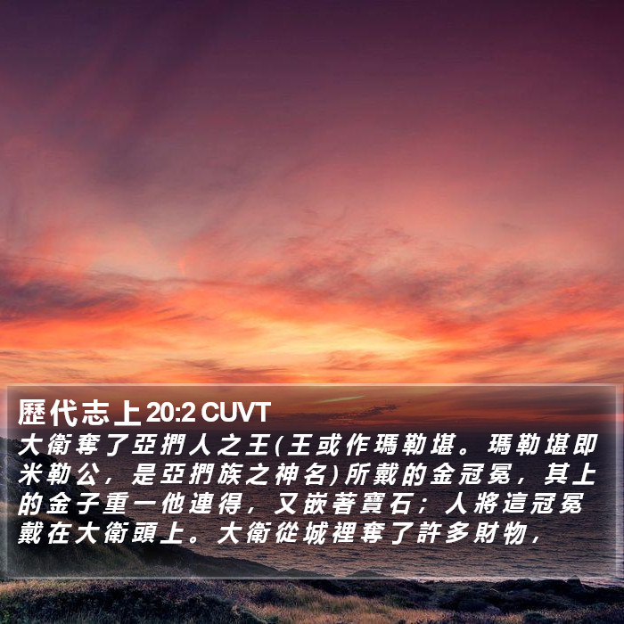 歷 代 志 上 20:2 CUVT Bible Study