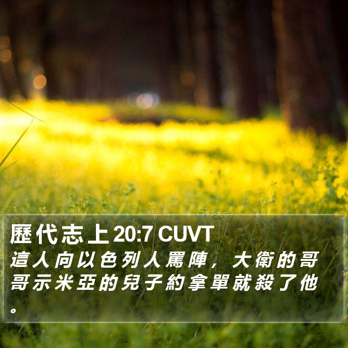 歷 代 志 上 20:7 CUVT Bible Study