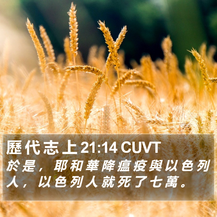 歷 代 志 上 21:14 CUVT Bible Study