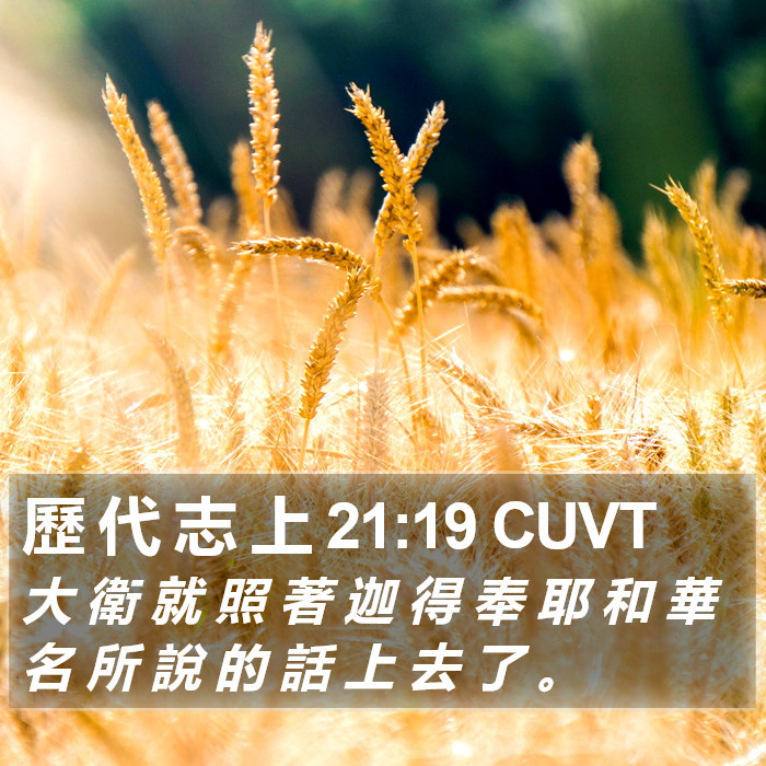 歷 代 志 上 21:19 CUVT Bible Study