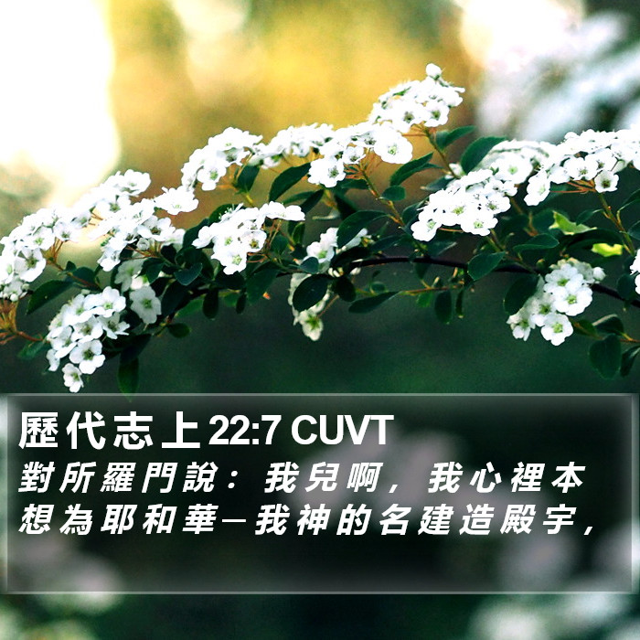歷 代 志 上 22:7 CUVT Bible Study
