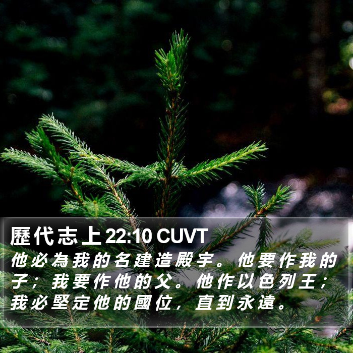 歷 代 志 上 22:10 CUVT Bible Study