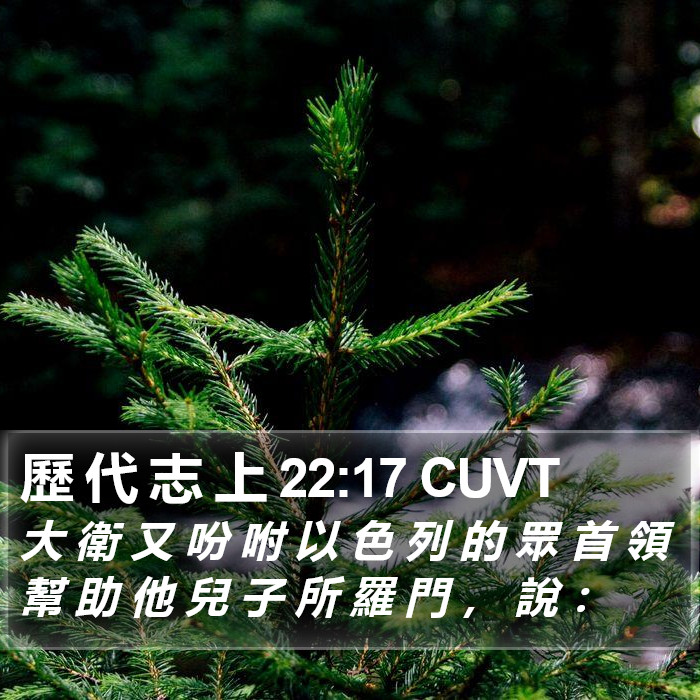 歷 代 志 上 22:17 CUVT Bible Study