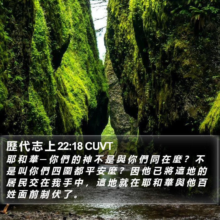歷 代 志 上 22:18 CUVT Bible Study