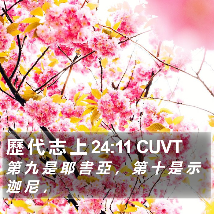 歷 代 志 上 24:11 CUVT Bible Study