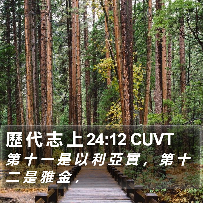 歷 代 志 上 24:12 CUVT Bible Study