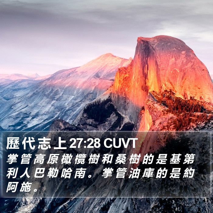 歷 代 志 上 27:28 CUVT Bible Study