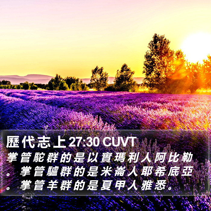 歷 代 志 上 27:30 CUVT Bible Study