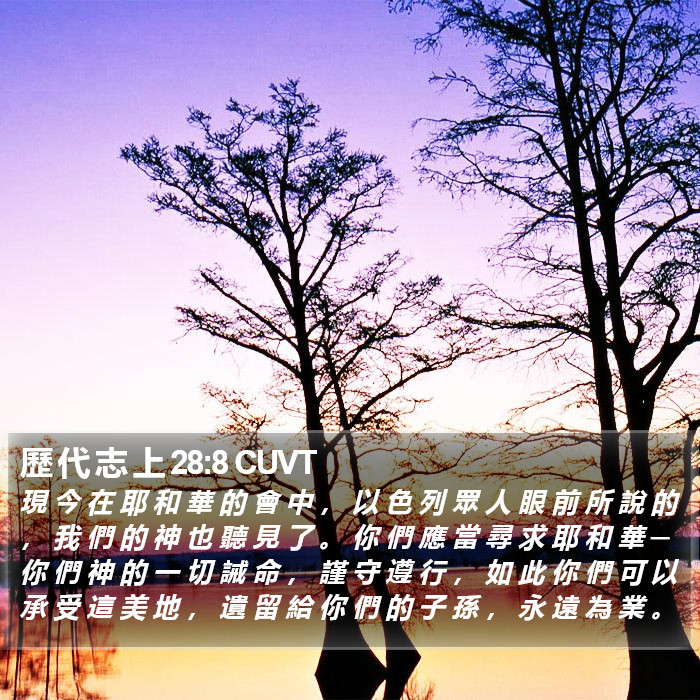 歷 代 志 上 28:8 CUVT Bible Study