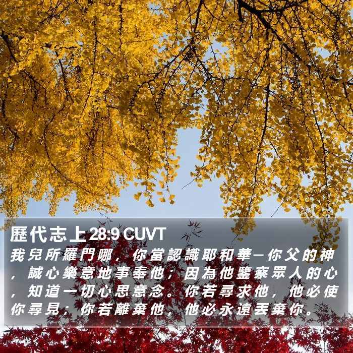歷 代 志 上 28:9 CUVT Bible Study