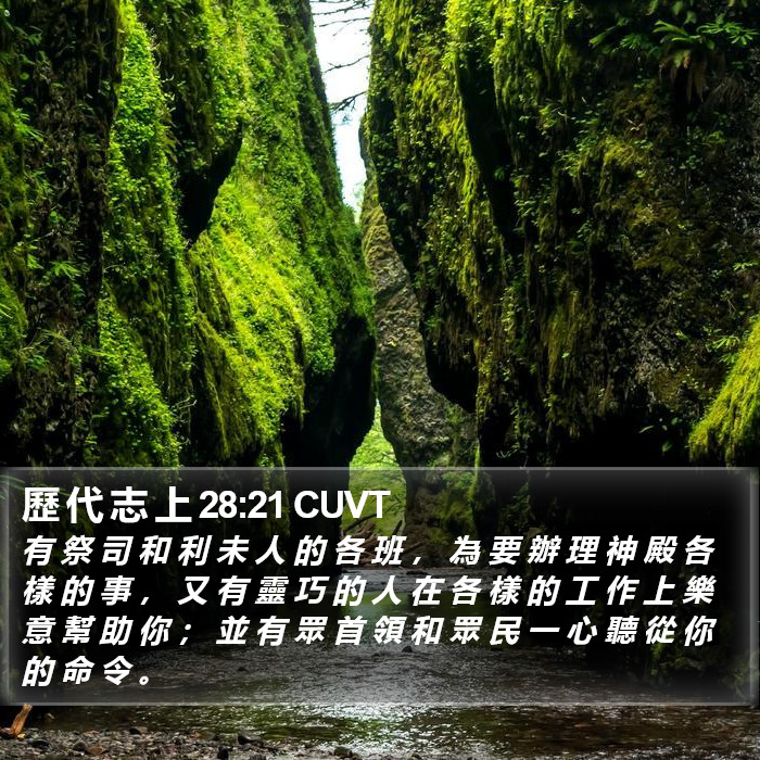 歷 代 志 上 28:21 CUVT Bible Study