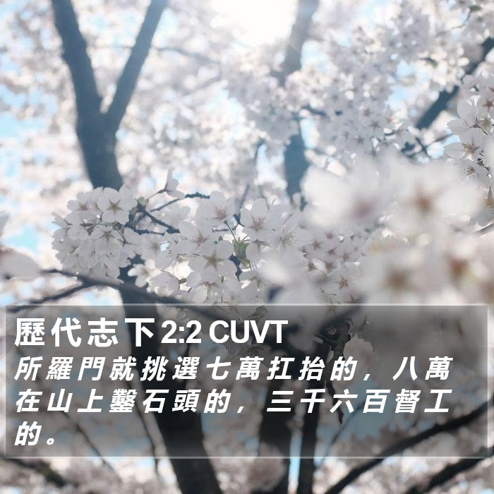 歷 代 志 下 2:2 CUVT Bible Study