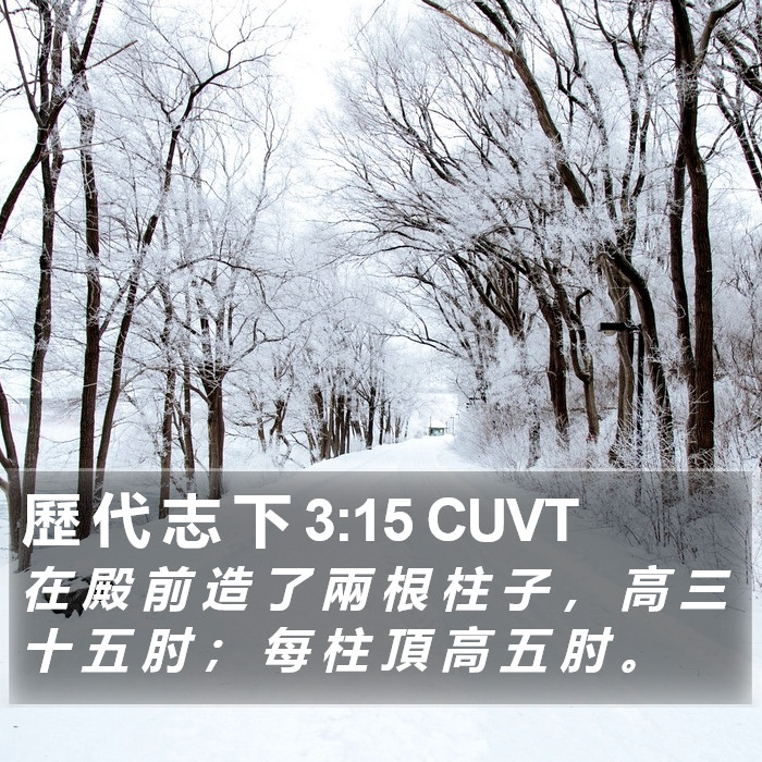 歷 代 志 下 3:15 CUVT Bible Study
