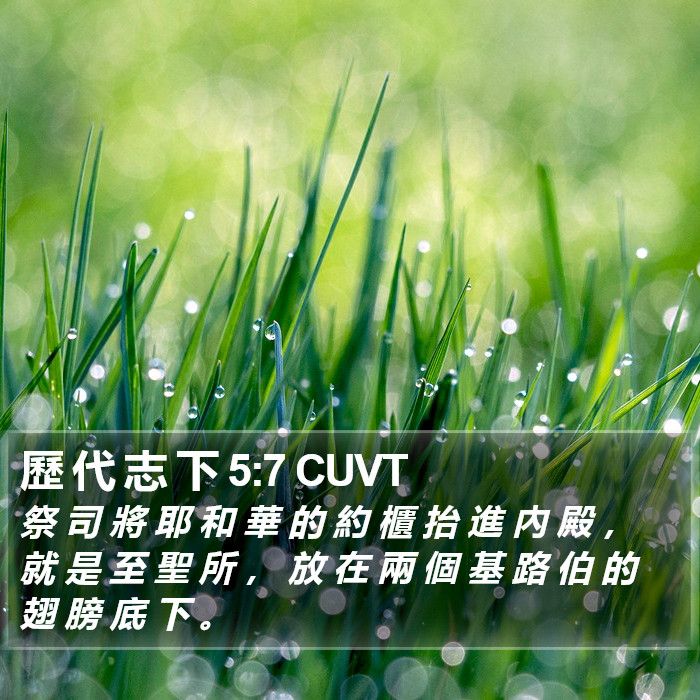 歷 代 志 下 5:7 CUVT Bible Study