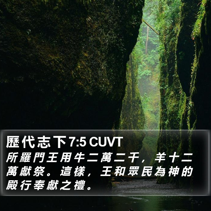 歷 代 志 下 7:5 CUVT Bible Study