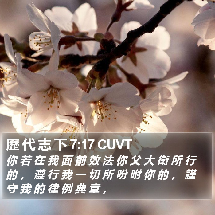 歷 代 志 下 7:17 CUVT Bible Study