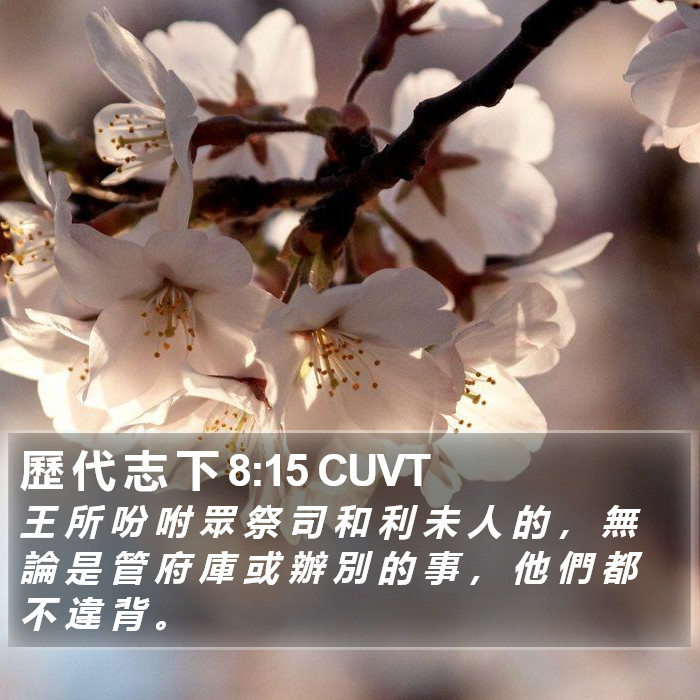 歷 代 志 下 8:15 CUVT Bible Study