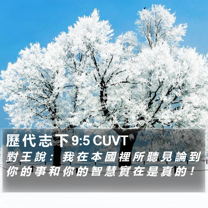 歷 代 志 下 9:5 CUVT Bible Study