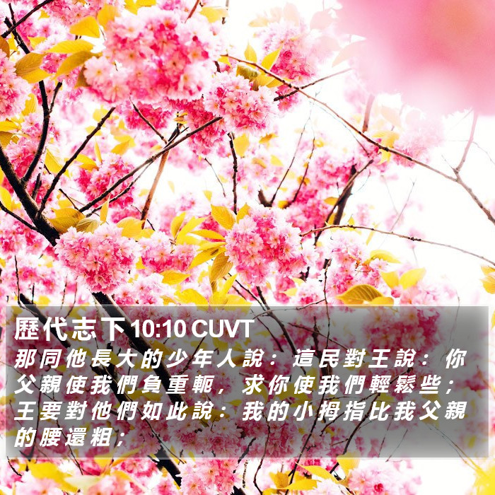 歷 代 志 下 10:10 CUVT Bible Study
