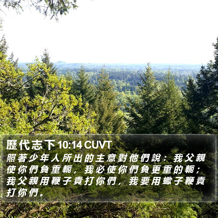歷 代 志 下 10:14 CUVT Bible Study
