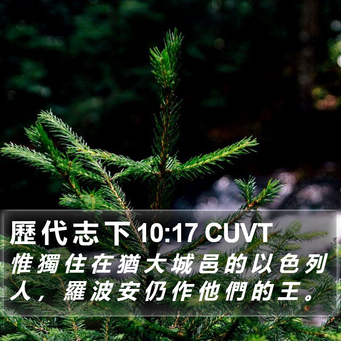 歷 代 志 下 10:17 CUVT Bible Study