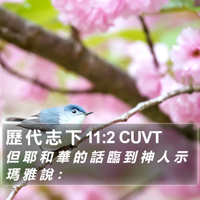 歷 代 志 下 11:2 CUVT Bible Study