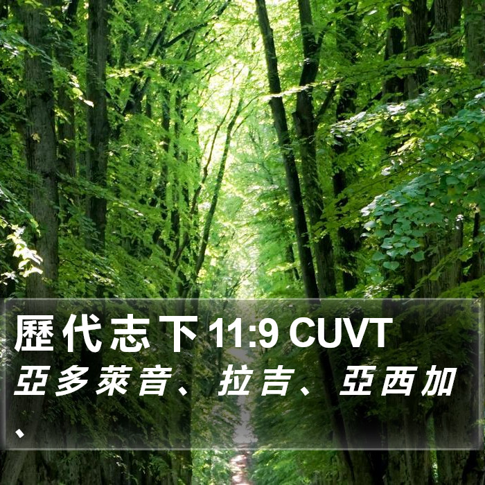 歷 代 志 下 11:9 CUVT Bible Study